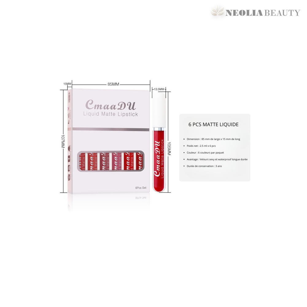 Coffret de rouges à lèvres mats waterproof avec couleurs riches et tenue longue durée – collection élégante pour des lèvres lisses et audacieuses